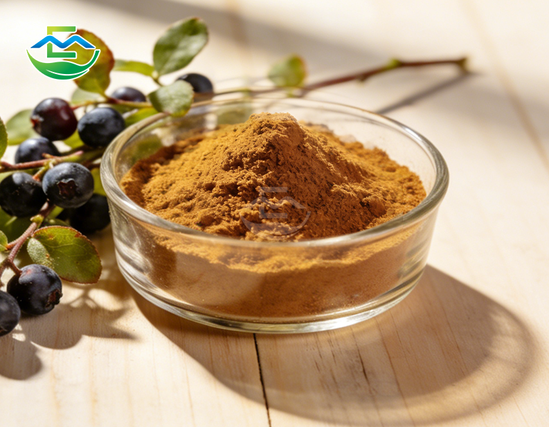 Bearberry Extract